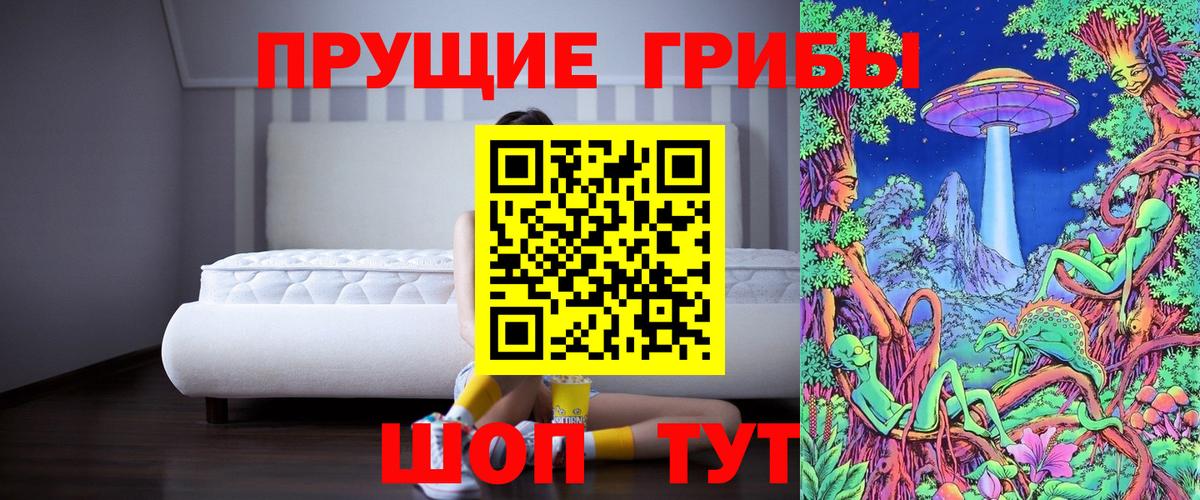 Галлюциногенные грибы ЛСД  купить закладку  Рузаевка  Вход с VPN 